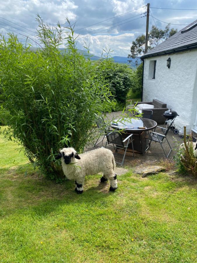 Fron Goch Cottage Dolwyddelan Exterior photo